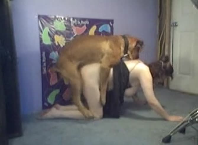 Video :Big tits matured slut got banged from behind in dog porno
